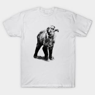 Baby takin T-Shirt